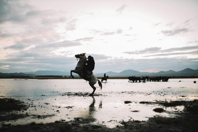 Robert Golob: A person on a rearing horse at sunset with mountains in the background.