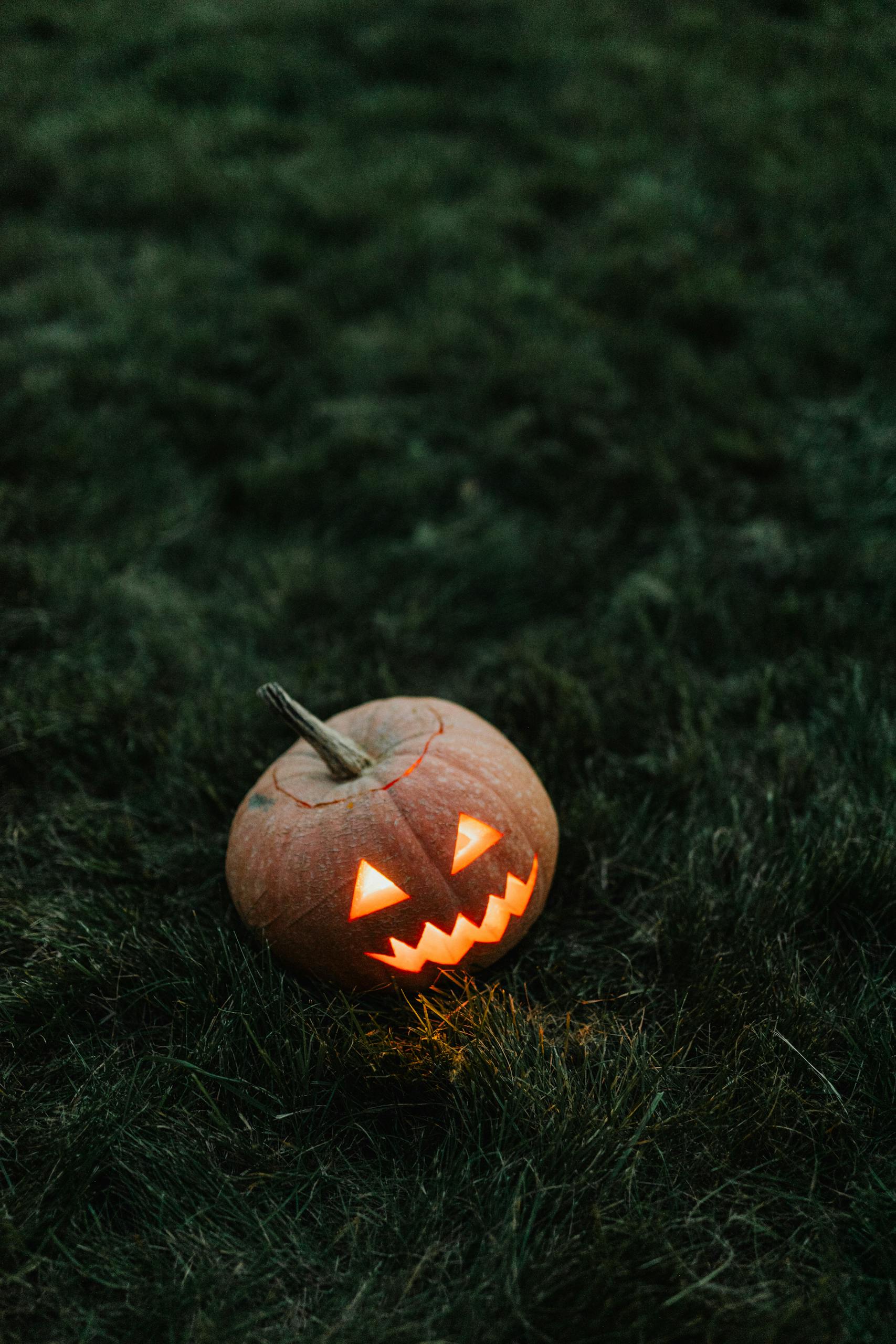 Twinkle Light Pumpkins A spooky carved pumpkin glowing in the dark, perfect for Halloween themes.