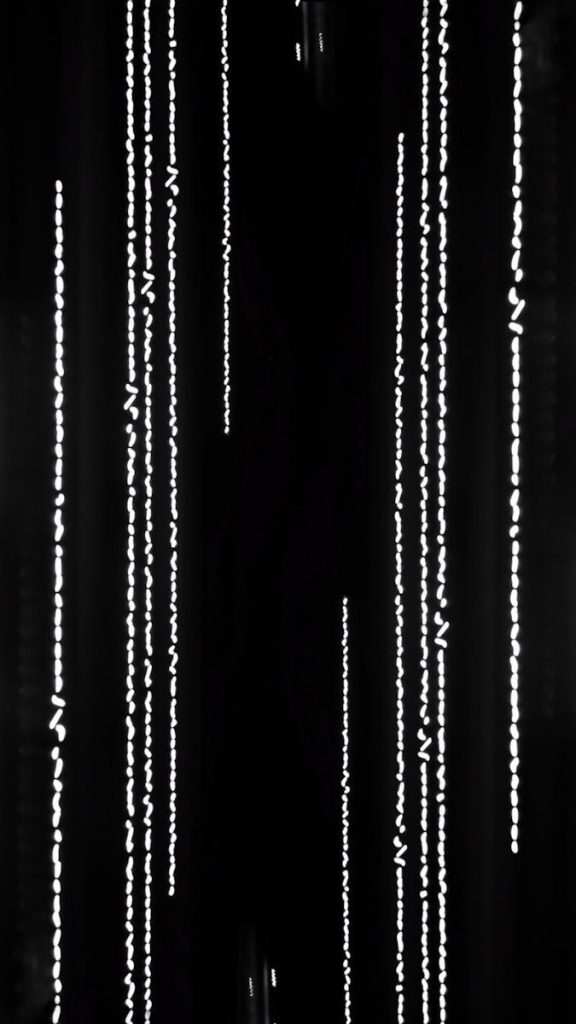Minimalist abstract photo with vertical white lines on black backdrop, creating a beaded pattern effect.