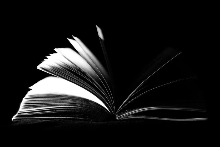 calesshop A striking black and white image of an open book with pages fanned out against a dark background.