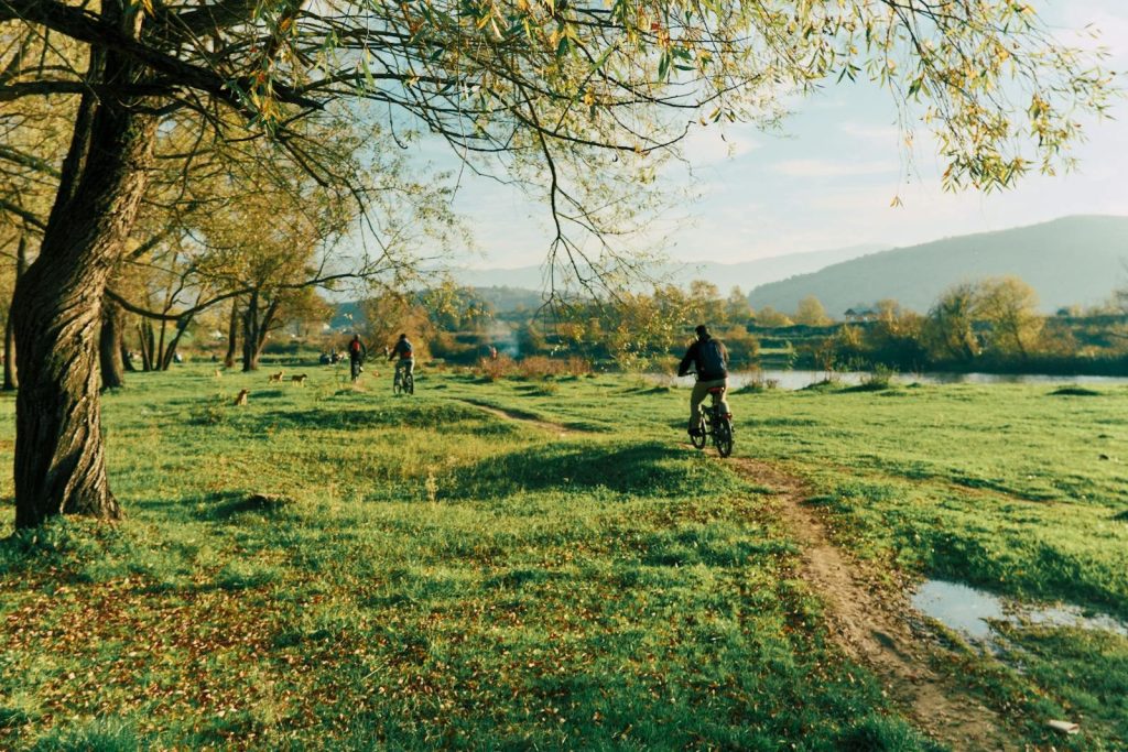 Riders enjoying a sunny autumn day biking in a scenic nature park.