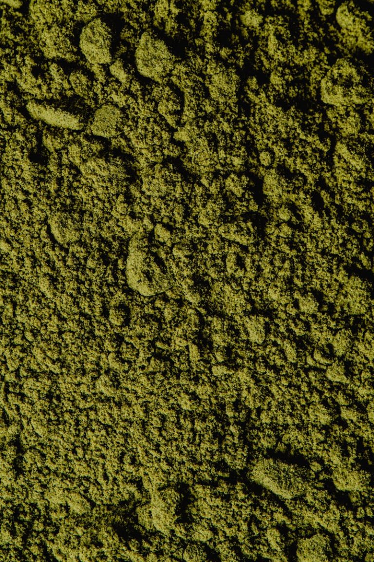 Bin Matcha Closeup view of coarse green matcha powder texture, ideal for backgrounds and culinary themes.