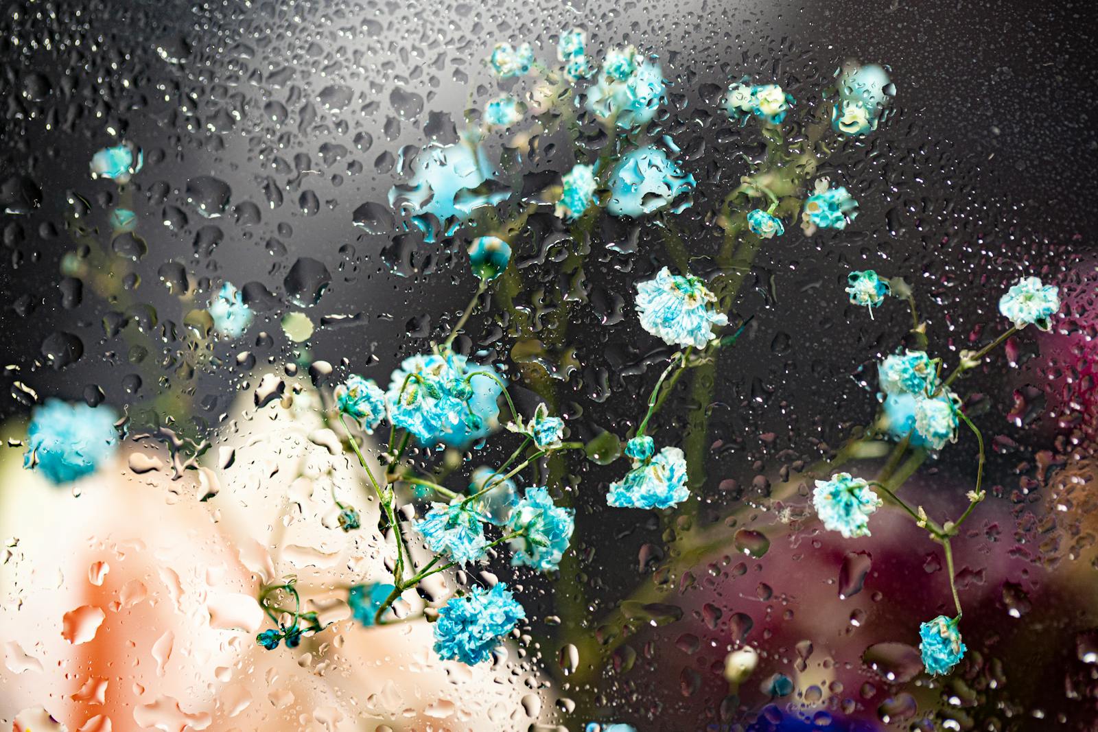 A mesmerizing display of blue flowers viewed through glass adorned with water droplets, creating a surreal visual effect.