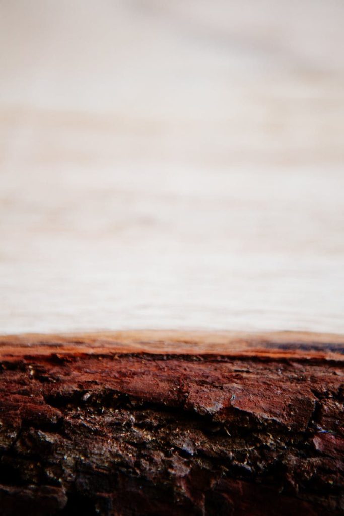 Detailed view of a weathered wooden surface with rich textures and earthy tones.