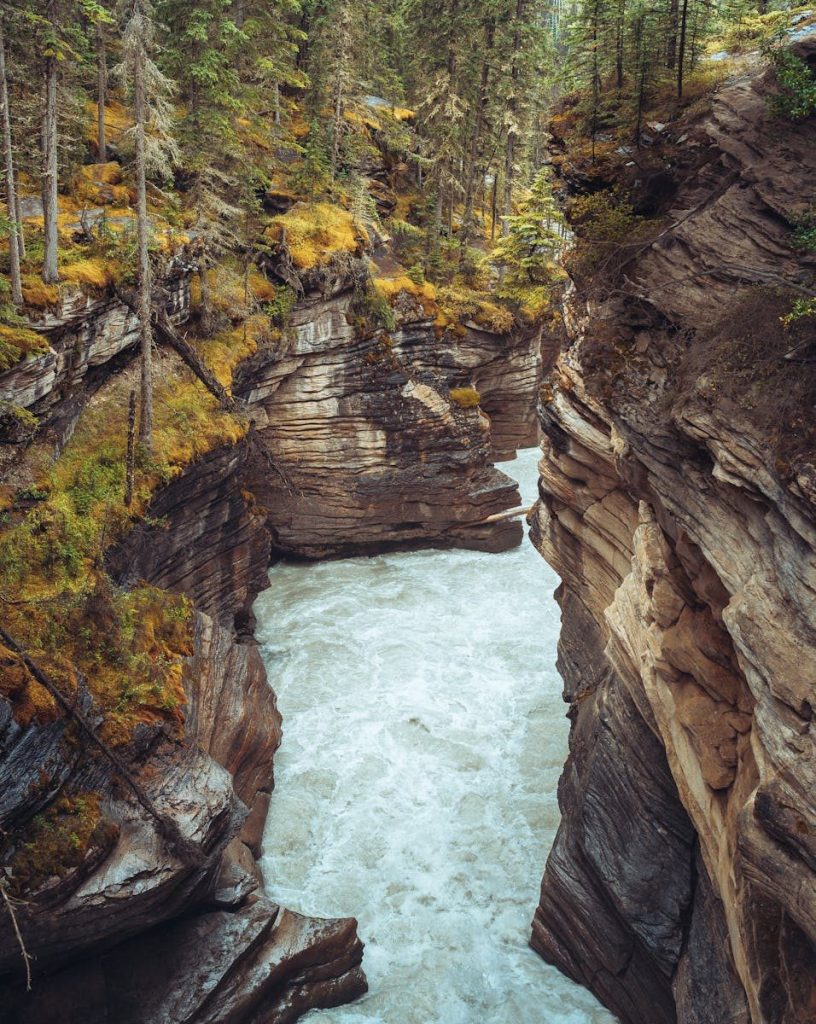 Majestic gorge with a river flowing through rugged cliffs in a lush forest setting.